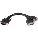 StarTech.com LFH 59 Male to Dual Female VGA DMS 59 Cable - 8" Video Cable for Monitor, Graphics Card - First End: 2 x 15-pin HD-15 - Female - Second End: 1 x 59-pin DMS-59 - Male - Nickel Plated Connector - Black - 1 Each