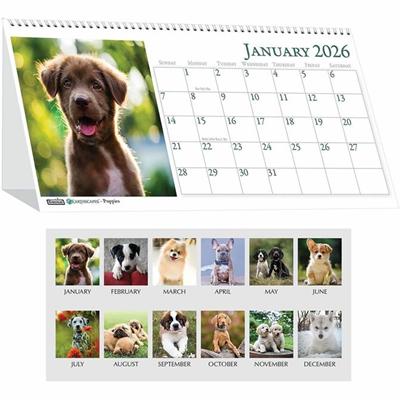 House of Doolittle Puppies Desktop Tent Calendar - Julian Dates - Monthly - 1 Year - January 2026 to December 2026 - 1 Month Double Page Layout - 8 1/2" x 4 1/2" Sheet Size - Spiral Bound - Desktop - White - Paper - 1 Each