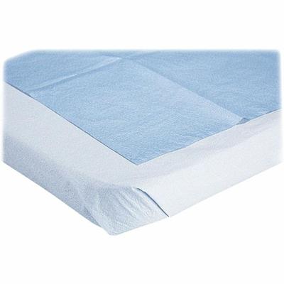Medline Blue Disposable Stretcher Sheets - Blue - Tissue - 50 / Box