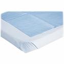Medline Blue Disposable Stretcher Sheets - Blue - Tissue - 50 / Box