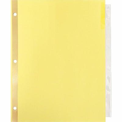 Business Source Insertable 5-Tab Ring Binder Indexes - 5 x Divider(s) - 5 Tab(s)/Set - 2" Tab Width - 8.5" Divider Width x 11" Divider Length - Letter - 3 Hole Punched - Buff Divider - Clear Tab(s) - Mylar Reinforcement, Insertable, Reinforced Edges,