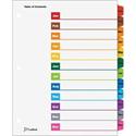 Cardinal&reg; OneStep Monthly Index System - 12 x Divider(s) - Printed Tab(s) - Month - Jan-Dec - 12 Tab(s)/Set - 9" Divider Width x 11" Divider Length - Letter - 8.50" Width x 11" Length - 3 Hole Punched - White Divider - Multicolor Tab(s) - Reinfor