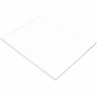 Tru-Ray Construction Paper - Project, Bulletin Board - 24" Width x 18" Length - White - Sulphite - 1 Pack