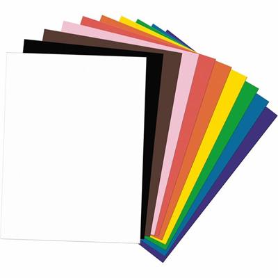 Tru-Ray Construction Paper Combo Case - Project - 746 lb Basis Weight - Assorted - 1 Kit