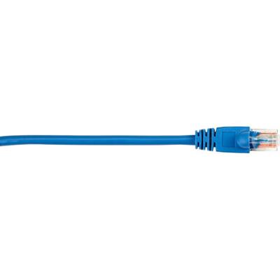 Black Box Connect Cat.5e UTP Patch Network Cable - 6 ft Category 5e Network Cable for Network Device - First End: 1 x RJ-45 Network - Male - Second End: 1 x RJ-45 Network - Male - 1 Gbit/s - Patch Cable - Gold Plated Contact - CM - 26 AWG - Blue - 1 