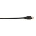 Black Box Connect Cat.6 UTP Patch Network Cable - 2 ft Category 6 Network Cable for Network Device - First End: 1 x RJ-45 Network - Male - Second End: 1 x RJ-45 Network - Male - 1 Gbit/s - Patch Cable - Gold Plated Contact - CM - 26 AWG - Black - 1 E