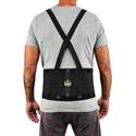 Ergodyne ProFlex 100 Economy Back Support Brace - 30" to 34" Waist Size - Black - 280D Spandex, Rubber, Polypropylene - 1 Each