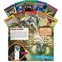 Shell Education Time For Kids Spanish Content Books Printed Book - Book - Spanish