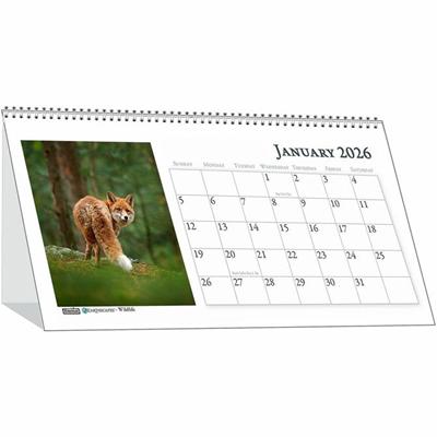 House of Doolittle Wildlife Photo Desk Top Tent Calendars - Julian Dates - Monthly - 12 Month - January 2026 to December 2026 - 1 Month Double Page Layout - Wire Bound - Desktop - Paper - 4.5" Height x 8.5" Width - Reference Calendar, Double-sided - 
