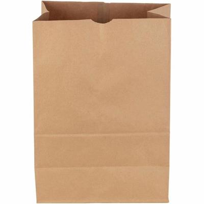 DURO Food Bag - Brown - Kraft, Paper - Grocery - 1 Carton