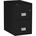 Phoenix World Class Vertical File - 2-Drawer - 16.9" Width x 25" Depth x 28" Height - 2 x Drawer(s) for File - Letter - Vertical - Impact Resistant, Fire Resistant, Explosion Resistant, Security Lock - Black