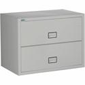 Phoenix World Class Lateral File - 2-Drawer - 38.8" Width x 23.6" Depth x 28.8" Height - 2 x Drawer(s) for File - Lateral - Impact Resistant, Fire Resistant, Explosion Resistant, Security Lock - Light Gray
