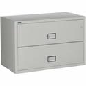 Phoenix World Class Lateral File - 2-Drawer - 44" Width x 28.6" Depth x 28.8" Height - 2 x Drawer(s) for File - Lateral - Fire Resistant, Explosion Resistant, Impact Resistant, Security Lock - Gray