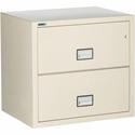 Phoenix World Class Lateral File - 2-Drawer - 31" Width x 23.6" Depth x 28.8" Height - 2 x Drawer(s) for File - Lateral - Fire Resistant, Explosion Resistant, Impact Resistant, Security Lock - Putty