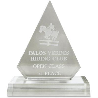 Xstamper Pinnacle Acrylic Award - 4" Width x 5.8" Length - Laser Compatible - Assorted - Acrylic - 1 Each