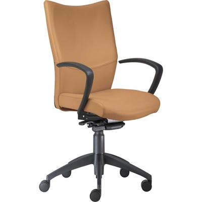9 to 5 Seating High-Back Conference & Management - Camel Seat Color - Leather Seat Material - Camel Back Color - Leather Back Material - High Back - 5-star Base - 1 Each