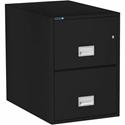 Phoenix World Class Vertical File - 2-Drawer - 19.9" Width x 31" Depth x 28" Height - 2 x Drawer(s) for File - Legal - Vertical - Fire Resistant, Explosion Resistant, Impact Resistant - Black