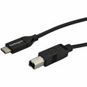 StarTech.com USB-C to USB-B Cable - M/M - 2 m (6 ft.) - USB 2.0 - 6.56 ft USB-C/USB-B Data Transfer Cable for Printer, Tablet, Scanner, Notebook, Computer, External Hard Drive - First End: 1 x 4-pin USB 2.0 Type B - Male - Second End: 1 x 24-pin USB 