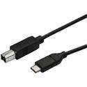 StarTech.com USB-C to USB-B Printer Cable - M/M - 0.5 m - USB 2.0 - 1.64 ft USB-C/USB-B Data Transfer Cable for Printer, Scanner, Notebook, Tablet, Computer - First End: 1 x 24-pin USB 2.0 Type C - Male - Second End: 1 x 4-pin USB 2.0 Type B - Male -