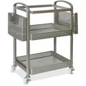 Lorell Mobile File Cart - 12.50" Length x 22.40" Width x 25.25" Height - Metal Frame - Champagne Gold - 1 Each