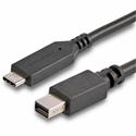 StarTech.com 1.8m / 6 ft USB-C to Mini DisplayPort Cable-USB C to mDP Cable-4K 60Hz-Black - 6 ft Mini DisplayPort/USB Video Cable Adapter for Chromebook, Monitor, iMac, Notebook, MacBook, Audio/Video Device, TV - First End: 1 x 24-pin USB 3.1 Type C 