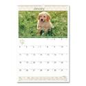 Puppies Monthly Wall Calendar, Puppies Photography, 15.5 x 22.75, White/Multicolor Sheets, 12-Month (Jan to Dec): 2026