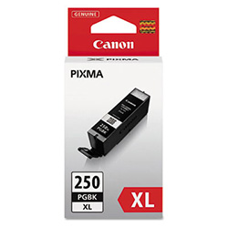 6432B001 (PGI-250XL) ChromaLife100+ High-Yield Ink, 500 Page-Yield, Black