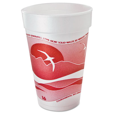 Horizon Hot/Cold Foam Drinking Cups, 16 oz, White/Cranberry, 25/Bag, 40 Bags/Carton