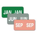 Monthly End Tab File Folder Labels, JAN-DEC, 0.5 x 1, Assorted, 25/Sheet, 120 Sheets/Box