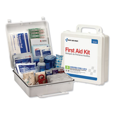 Bulk First Aid Kit for 50 People, 199 Pieces, Plastic Case