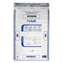 Deposit Bag, Plastic, 12 x 16, Clear, 100/Pack