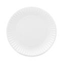 Coated Paper Plates, 9" dia, White, 100/Pack, 12 Packs/Carton