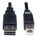 Universal Reversible USB 2.0 Cable, Reversible A to B (M/M), 6 ft, Black