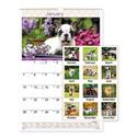 Puppies Monthly Wall Calendar, Puppies Photography, 15.5 x 22.75, White/Multicolor Sheets, 12-Month (Jan to Dec): 2025