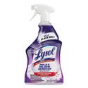 Mold and Mildew Remover with Bleach, 32 oz Spray Bottle, 12/Carton